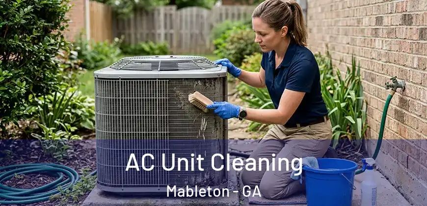 AC Unit Cleaning Mableton - GA